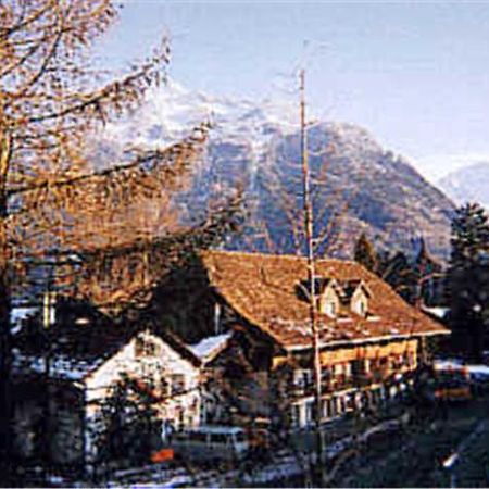 Apartments Dr. Med. Vet. Tempelman Interlaken Zewnętrze zdjęcie