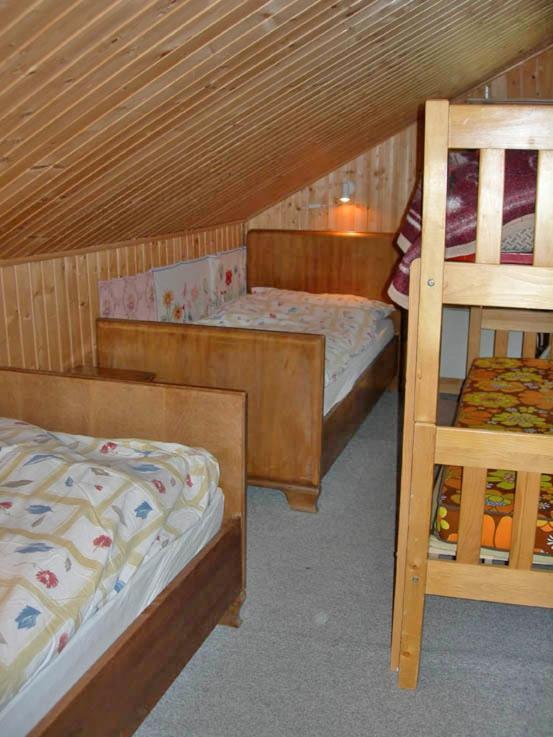 Apartments Dr. Med. Vet. Tempelman Interlaken Zewnętrze zdjęcie
