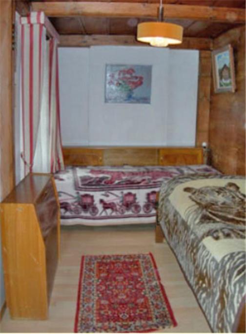 Apartments Dr. Med. Vet. Tempelman Interlaken Pokój zdjęcie