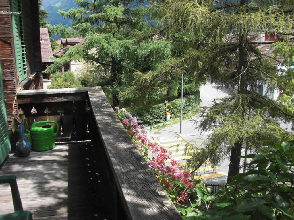 Apartments Dr. Med. Vet. Tempelman Interlaken Pokój zdjęcie